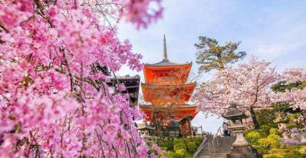 日本商务考察：关于日本的冷知识