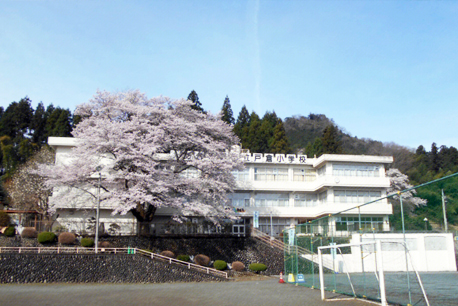 日本教育考察交流：走进幼儿园、小学、中学与大学课堂