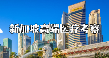 新加坡医疗旅游攻略：国际医疗、健康检查与高端度假完美结合
