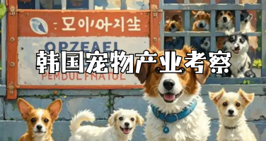 韩国宠物产业考察：从宠物连锁到智能养宠，看韩国宠物经济升级