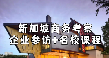 新加坡商务考察7天怎么排？凯德、星展、托克、戴森一次看全！