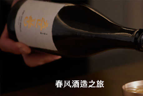 韩国传统酒文化考察：走进首尔春風酿造場看发酵科学与智慧酿造！