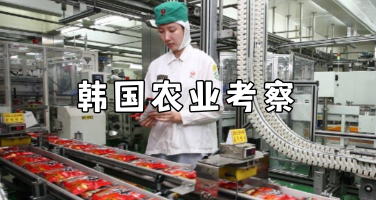 2026韩国农业考察：智慧农业与农产品流通6天5晚研修方案！