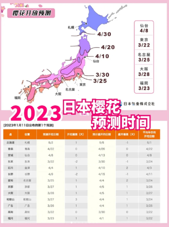 日本商务考察,日本考察,日本樱花,2023年日本赏樱,日本入境政策