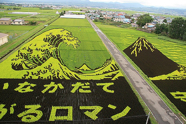 日本农业商务考察，看日本农业强在哪里