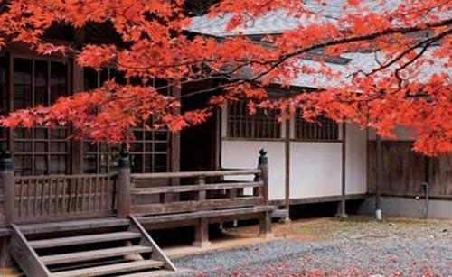日本游学考察企业